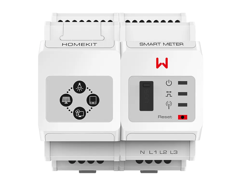 HomeKit Single-Phase (Smart Meter) GoodWe HK1000 with reference HK1000 from the brand GOODWE
